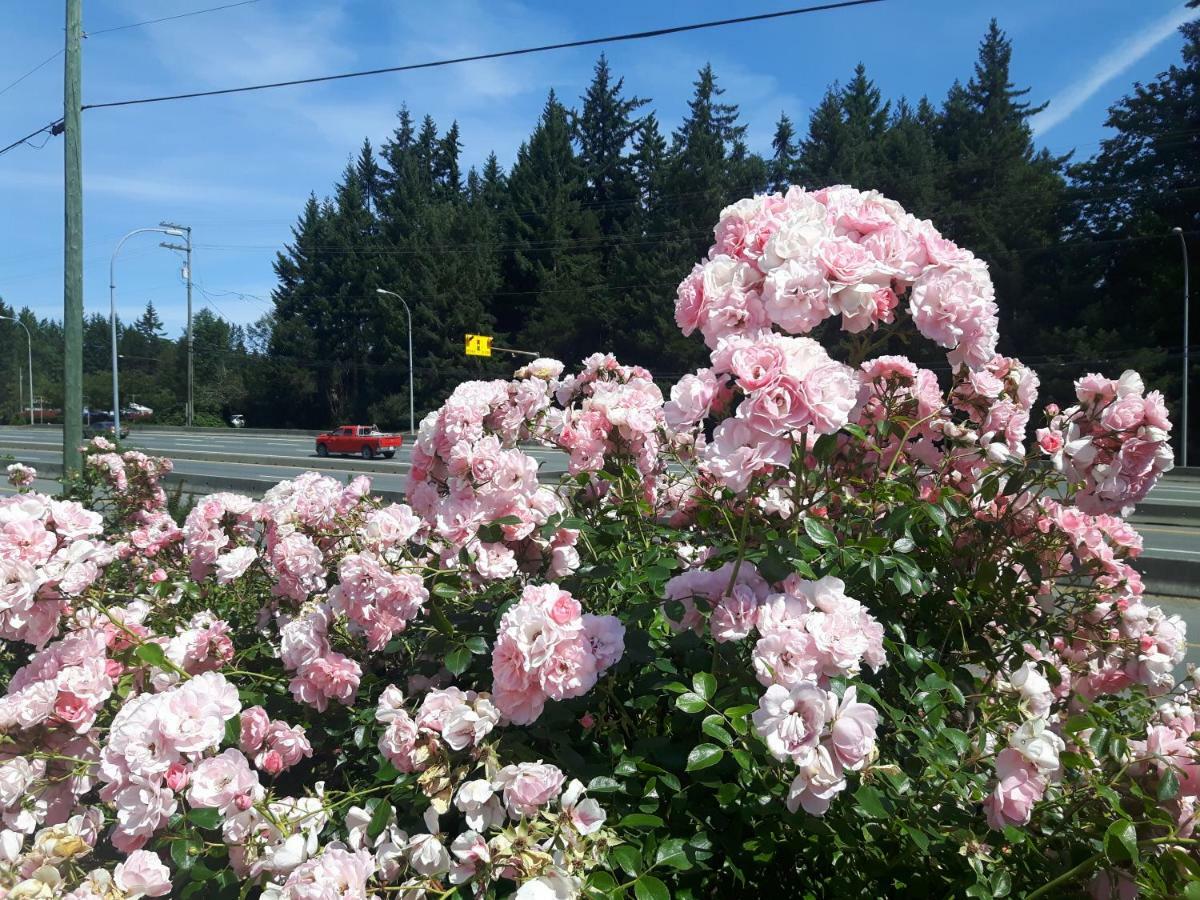 Fuller Lake Chemainus Motel Buitenkant foto